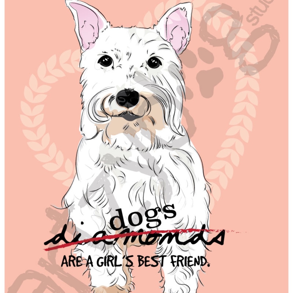 Schnauzer (white) - Dogs are a girl's best friend